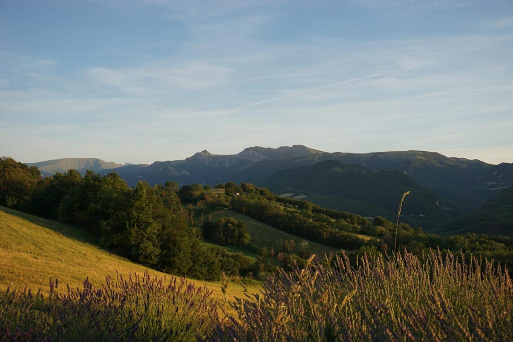 Le marche omgeving